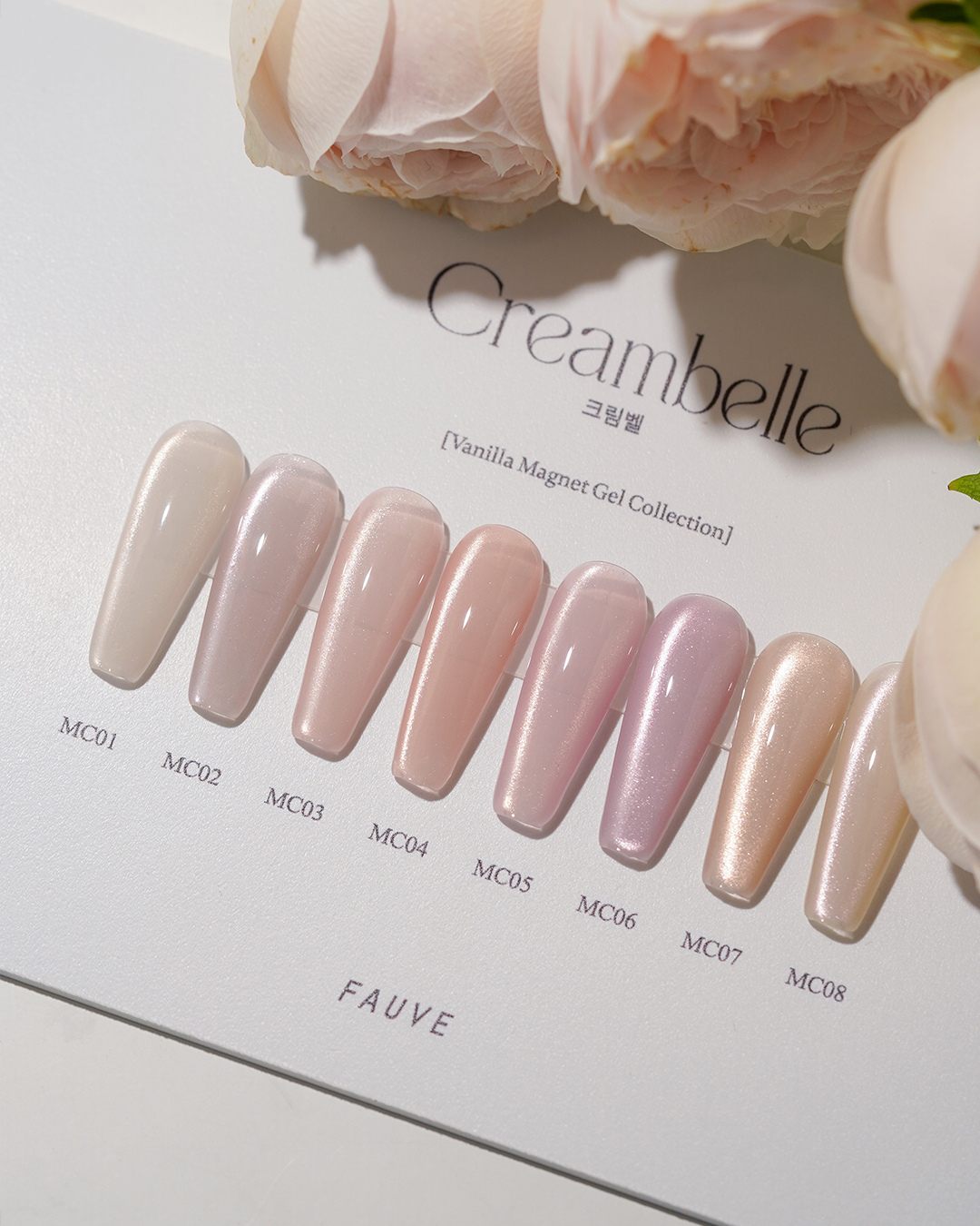Fauve Creambelle Collection