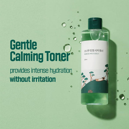 [Round Lab] Pine Calming CICA Toner 250ml