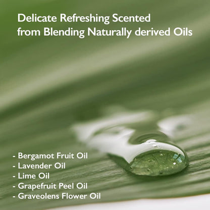 [Haruharu Wonder] Wonder Black Bamboo Mist 150ml