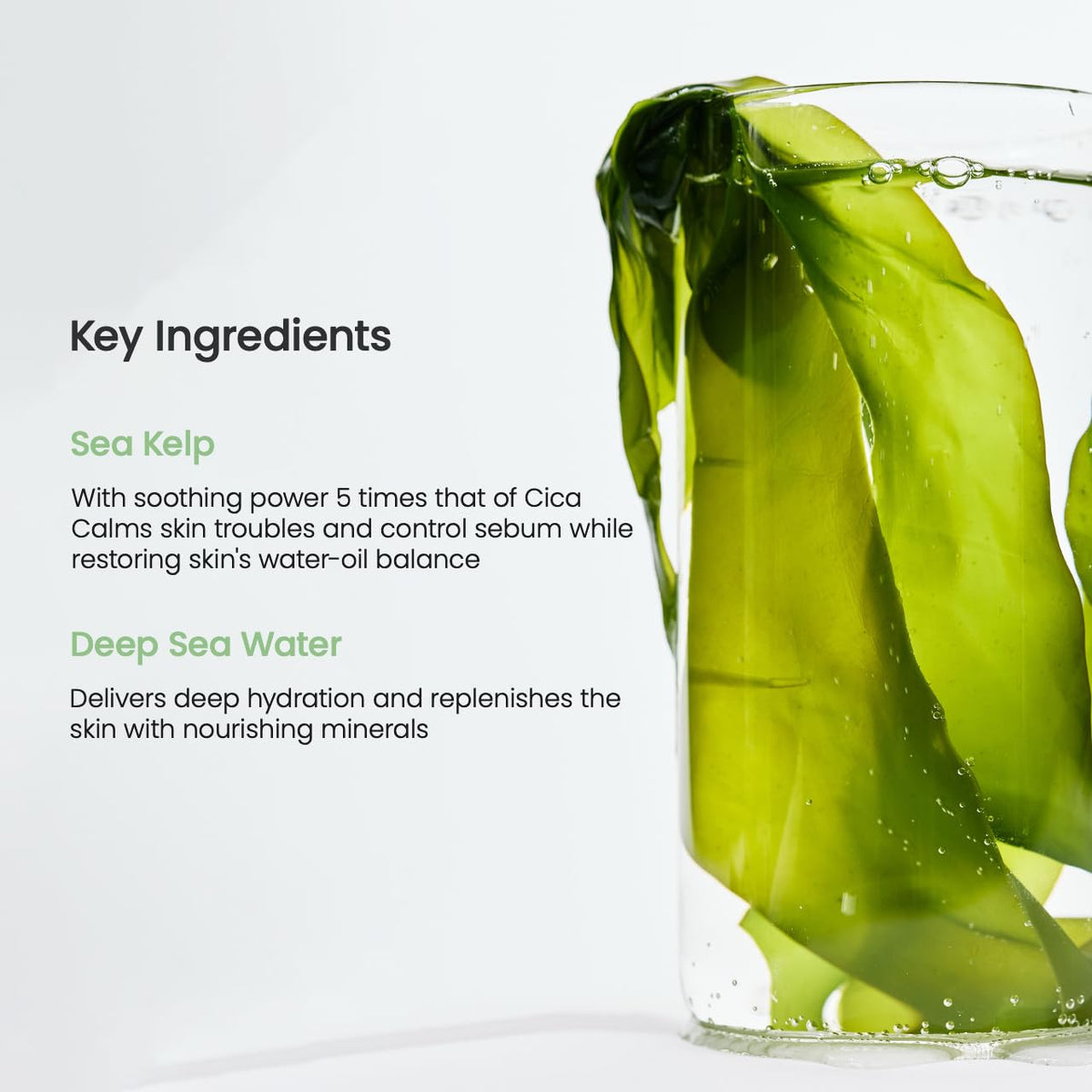 [BIODANCE] Refreshing Sea Kelp Real Deep Mask 34g x 4ea