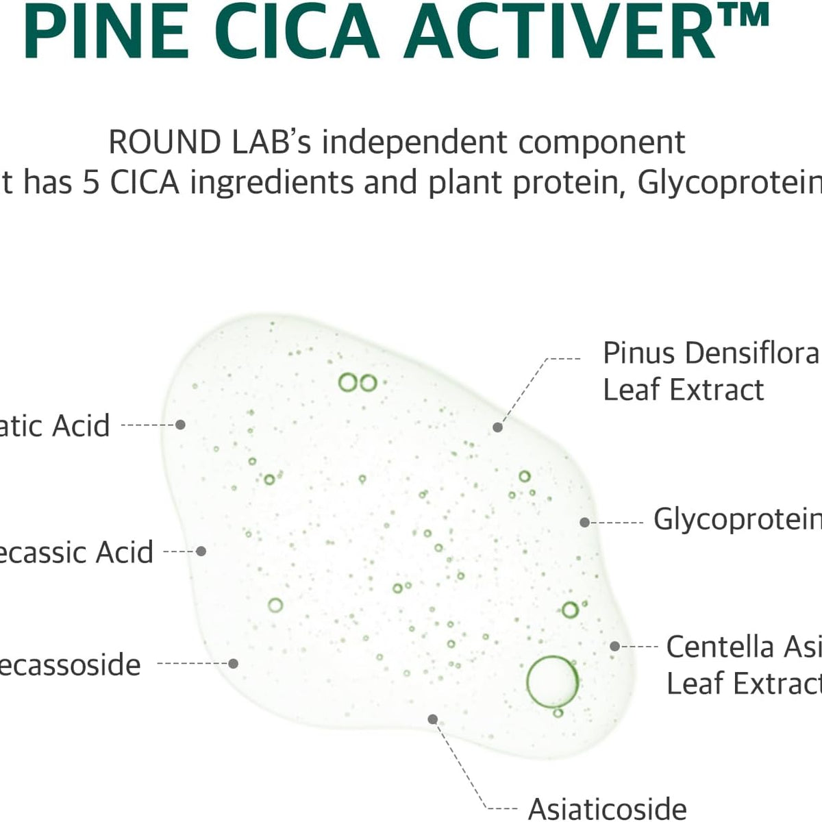 [Round Lab] Pine Calming Cica Pad 50pcs