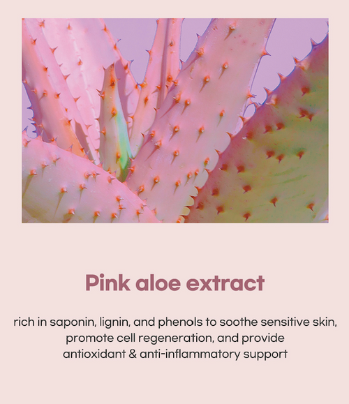 [benetus] Deep Pure Serum Cleanser 150ml