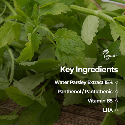 [Skinfood] Pantothenic Water Parsley Clear Toner Pad (60 pads)