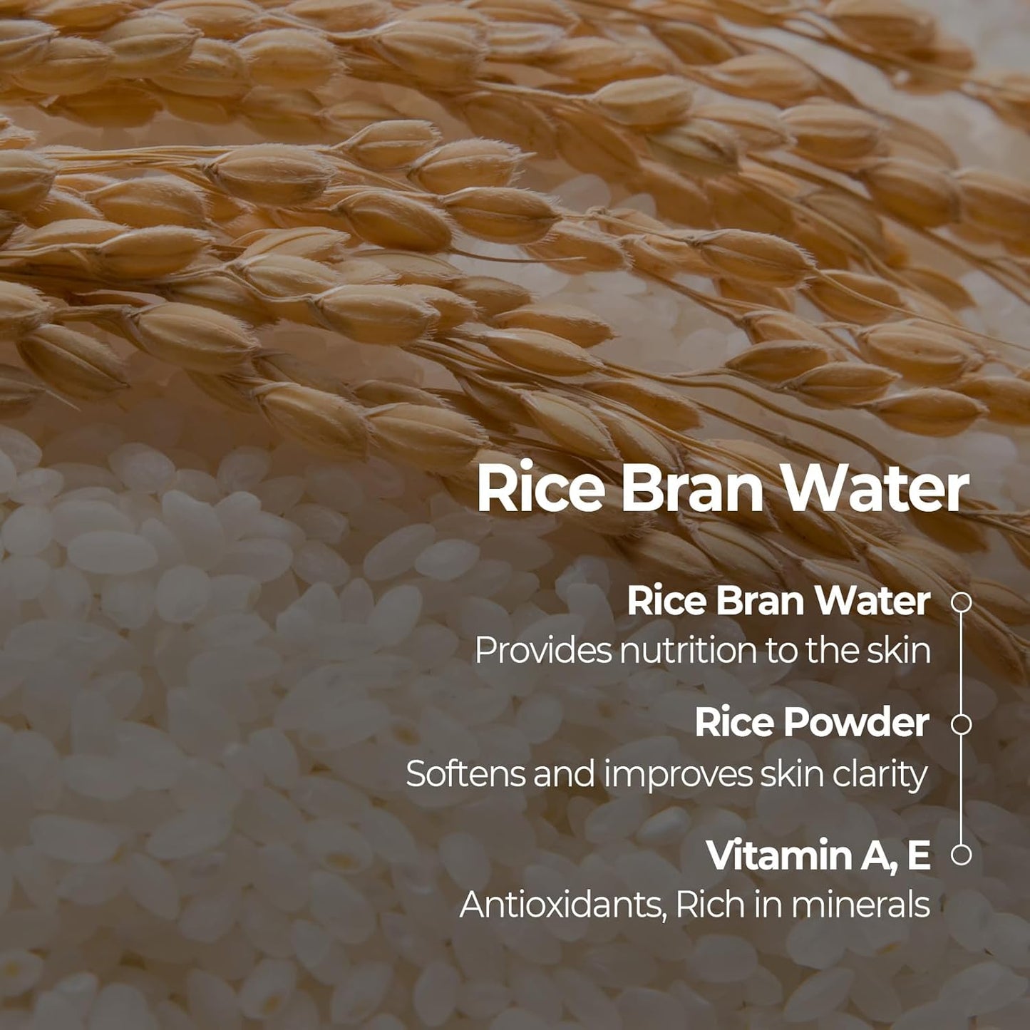 [Skinfood] Rice Mask Wash Off 120g