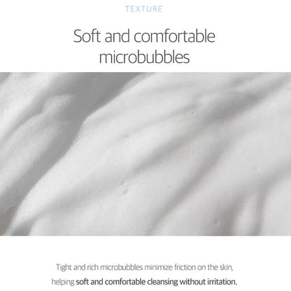 [Round Lab] 1025 Dokdo Bubble Foam 150ml