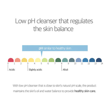 [Round Lab] 1025 Dokdo Bubble Foam 150ml