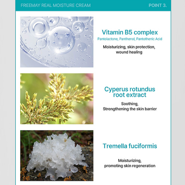 [Freemay] Real Moisture Cream 100ml (+30ml Free)