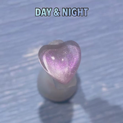 Clodi 55 Full Set Promotion