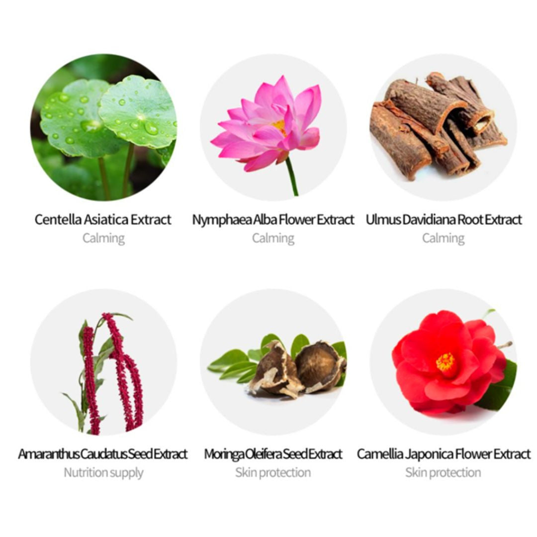 Azulene Tone Up Cream [SPF 50+/PA+++] - Image 5