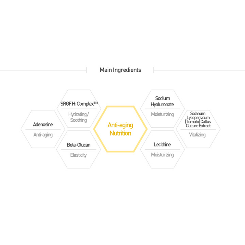 Premium Timeless Cream - Image 7