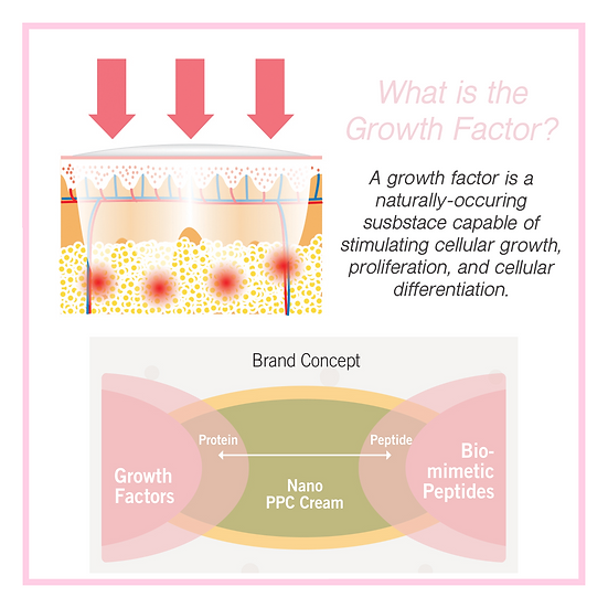 Nano-PPC Massage & Slimming Cream - Image 5