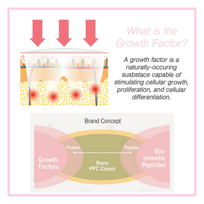 Nano-PPC Massage & Slimming Cream - Image 5