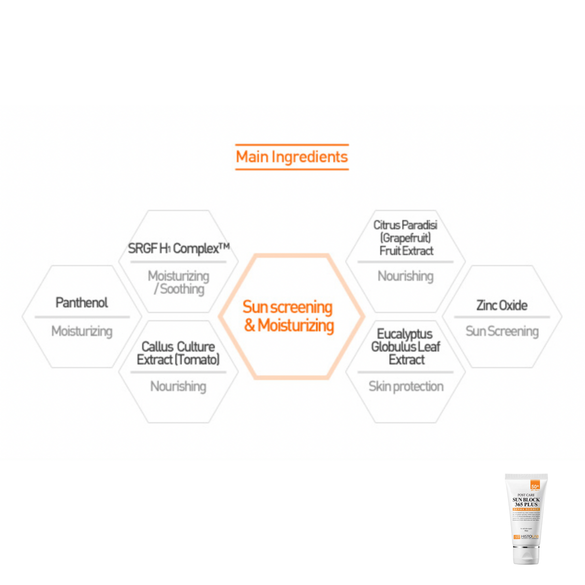 Sun Block Bundle - Image 5