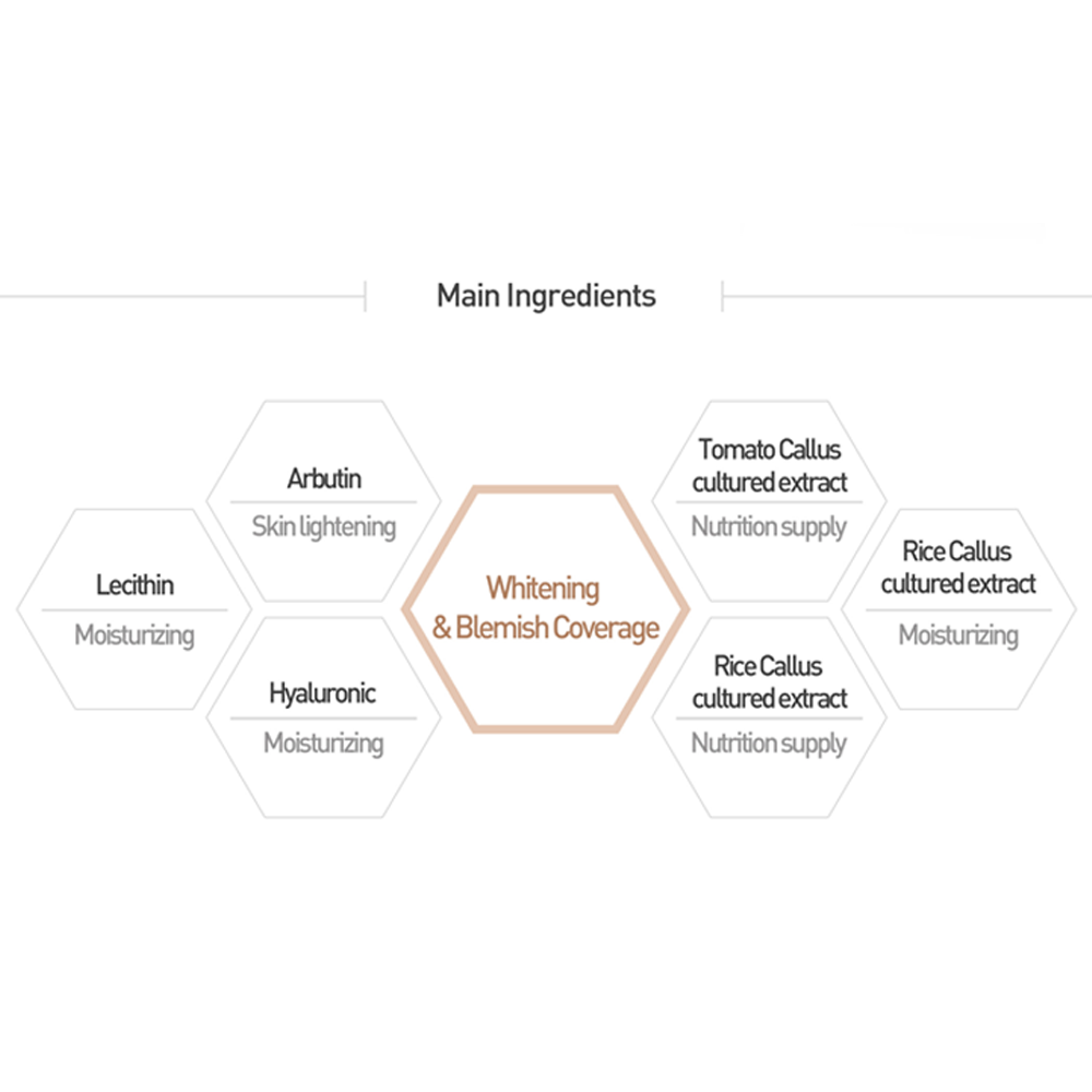 Sun Block + BB Cream Bundle - Image 7