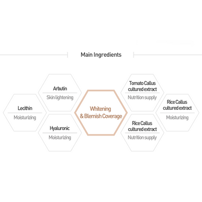 Sun Block + BB Cream Bundle - Image 7