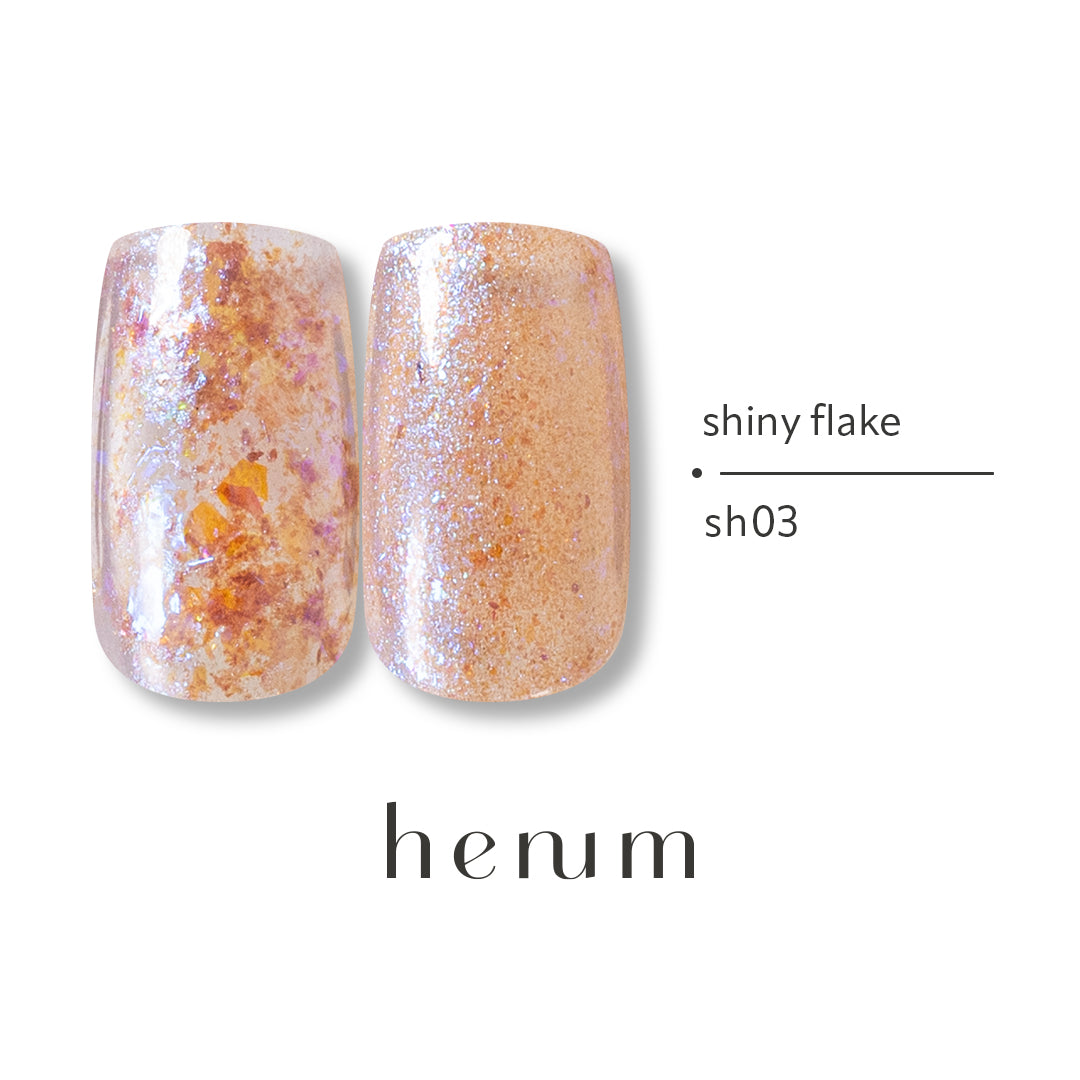 Henum Shiny Flakes 5 Color Set